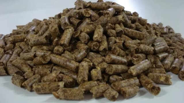 Citrus Pulp